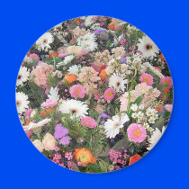 Alma Blooms 1