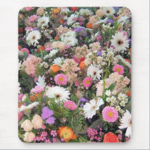 Alma Blooms 1