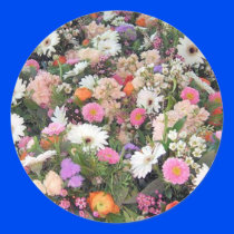 Alma Blooms 1