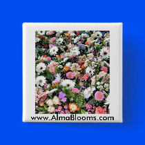 Alma Blooms