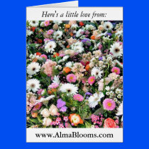 Alma Blooms