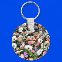 Alma Blooms