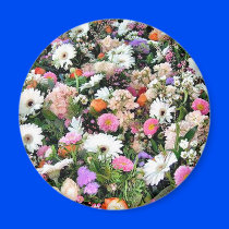 Alma Blooms