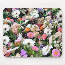 Alma Blooms