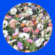 Alma Blooms
