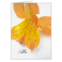 Alma cards