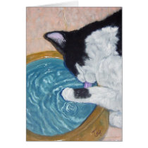 Alma Drinks from her Paw cards