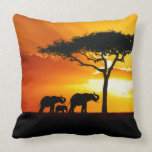 Almohada de África 2