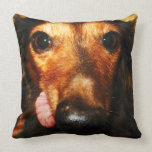 Almohada de los Snuggles