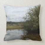 Almohada escénica almohadas