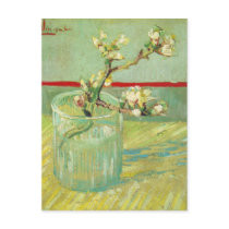 Almond Blossom Branches, Vincent van Gogh Postcard