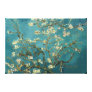 Almond Blossom Canvas Canvas Print