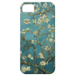 Almond Blossom iPhone 5 Cases