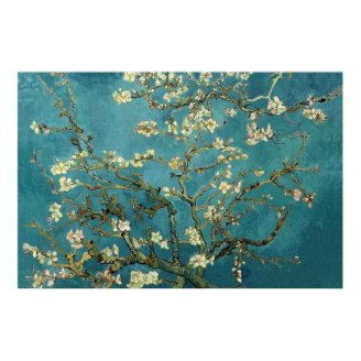 Almond Blossom Poster