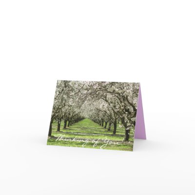 Almond Blossoms Notecard by ggbythebay