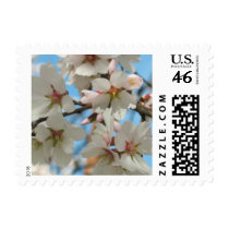 Almond Blossoms postage by ggbythebay Almond Blossoms postage