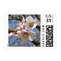 Almond Blossoms Postage