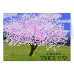 Almond in Bloom Greeting Card