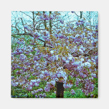 Almond Tree in Monet's Garden Magnet
