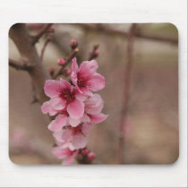 Almond tree - Shkedia mousepads