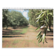 Almond trees wall calendars