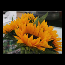 Almost a Sunflower Save the Date Card invitations