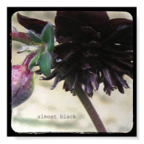 Almost black - Small print by Lenoirrr Almost black - Small print
