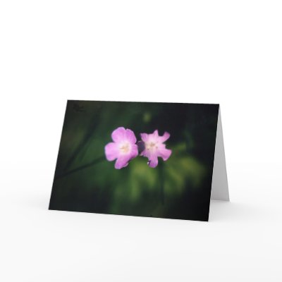 ALMOST! GREETING CARDS by mhartford