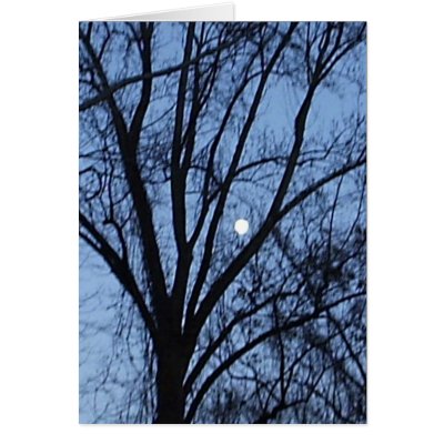 Almost Full Moon 2 Greeting Cards by JLWinther