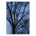 Almost Full Moon 2 cards