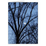 Almost Full Moon 2 cards