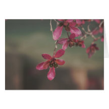 Almost Here Greetings / Note Card