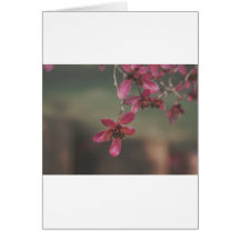 Almost Here Greetings / Note Card