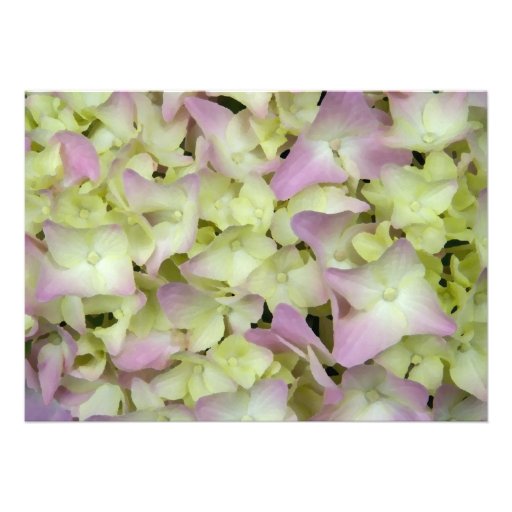 Almost Pink Hydrangea Post Wedding Brunch Invite