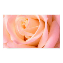 Almost Pink Poster, S Cyr posters by CyrScenes Almost Pink Poster, S Cyr posters