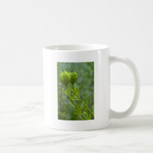 Almost Poppies Mugs