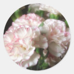 Almost White Carnations 5 Round Sticker