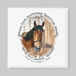 Almosta Farm Ride spring 2012 magnets