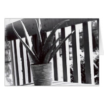 Aloe card