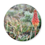 Aloe Flower Magnets