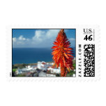 Aloe flower postage stamps