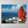 Aloe flower posters