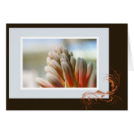 Aloe Flower Spike card