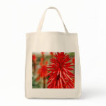 Aloe flowers bags