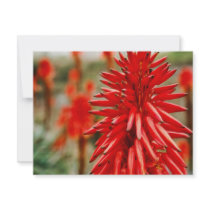 Aloe flowers invitations