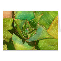 Aloe notecard