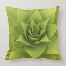 Aloe pillow by Debra Lee Baldwin pillows