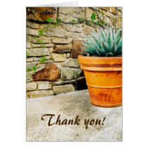 Aloe Plant Thank You for Your Caretaking cards