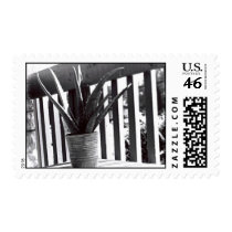 aloe postage by quetzal323 aloe postage