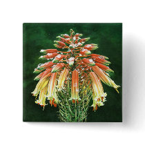 Aloe vera buttons